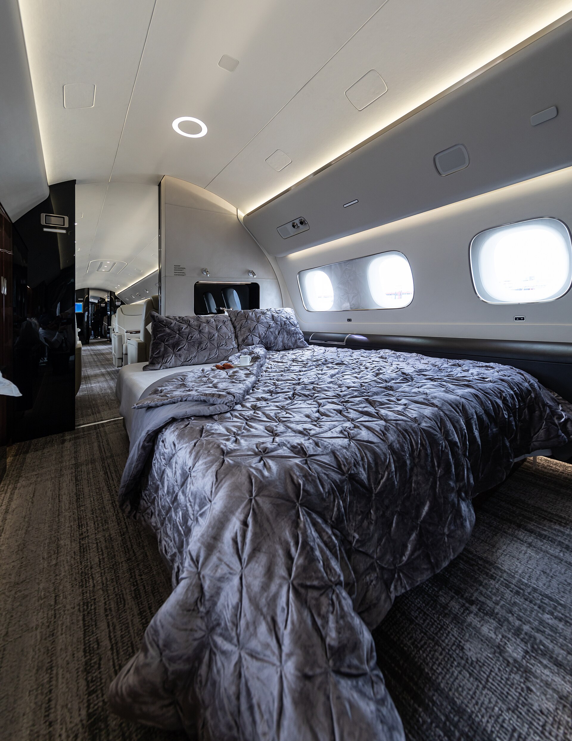 VIP airliners
